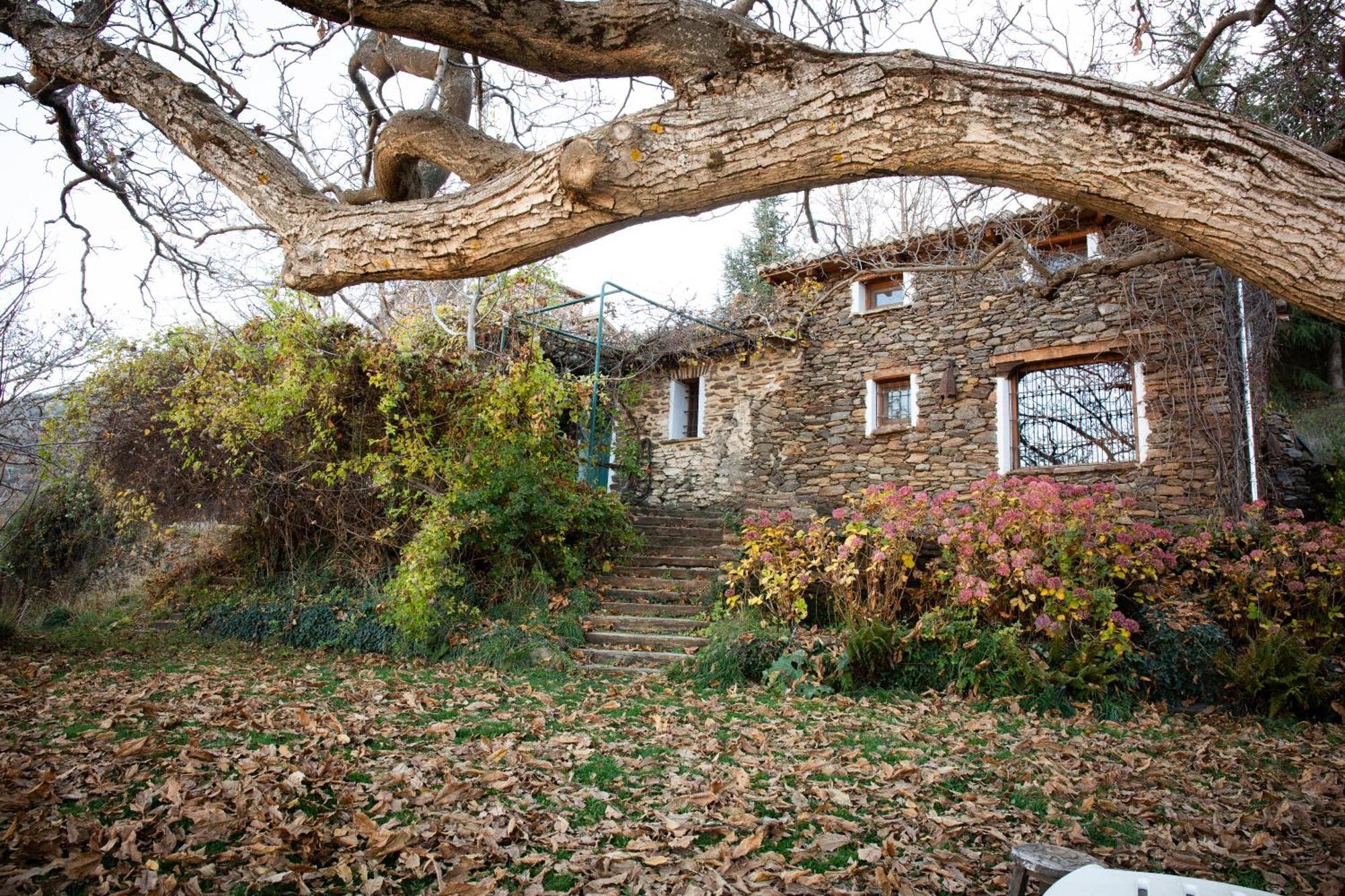 La Casa Del Nogal Vila Guejar Sierra Exterior foto
